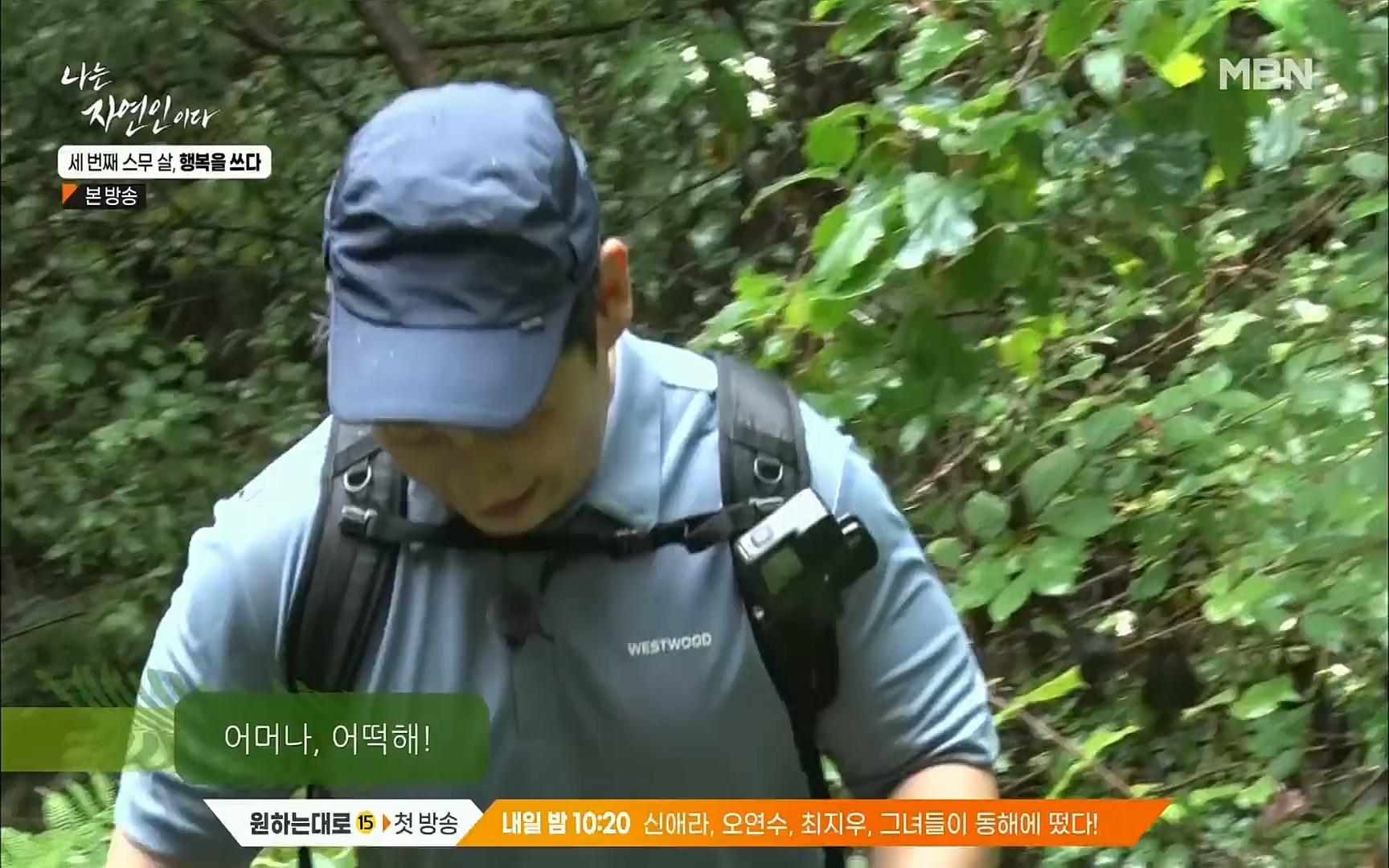 나는 자연인이다.E516.220824p.H264-F1RST.mp4_20220825_164131.969.jpg