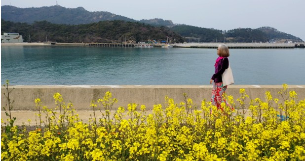 한국기행-신안-흑산도-화가-안혜경-인생의봄날을그려드립니다-봄나물-해초