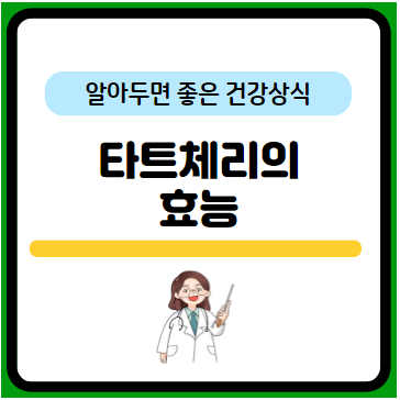 타트체리 효능 및 분말&#44; 콜라겐&#44; 원액 비교