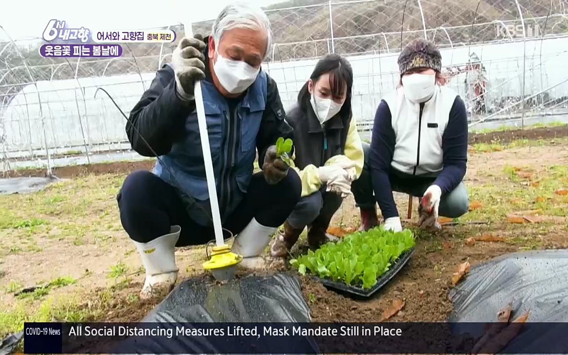6시 내고향.E7518.220426p.H264-F1RST.mp4_20220504_192802.526.jpg