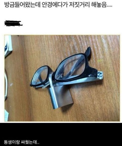  동생이랑 싸웠는데...