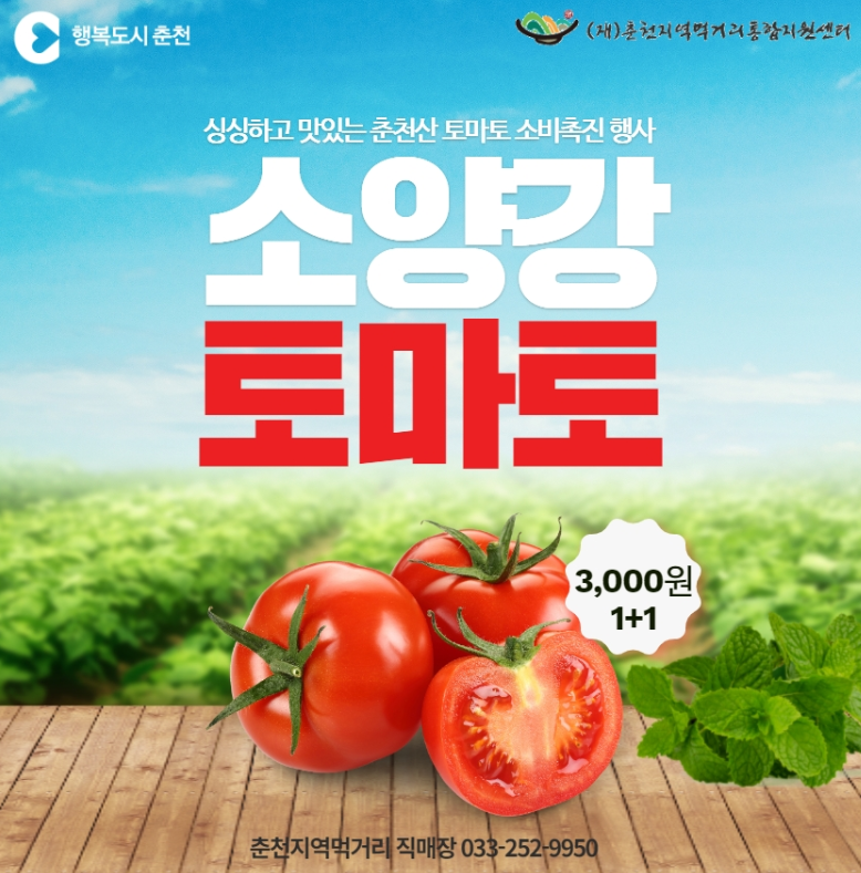 토마토소비촉진행사