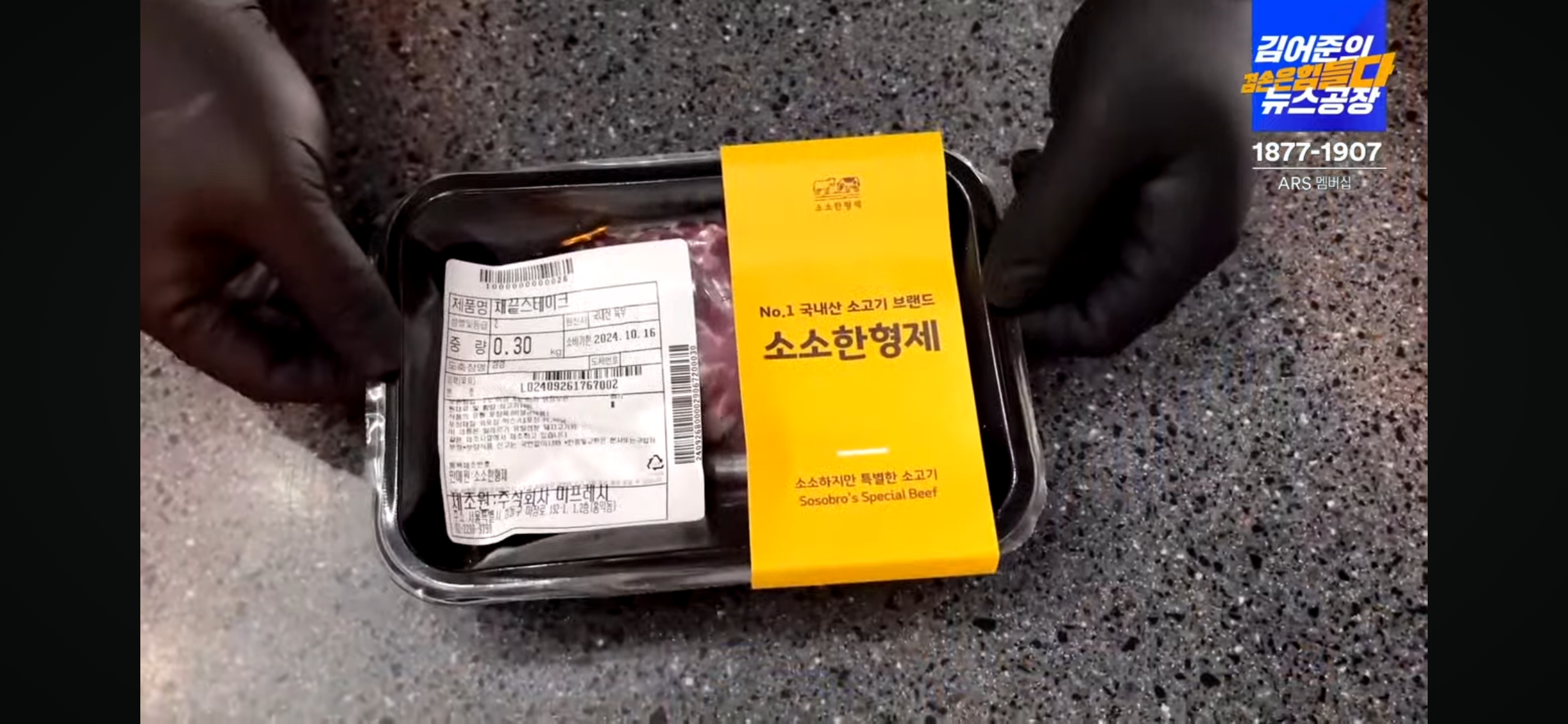 마시따 이미지
