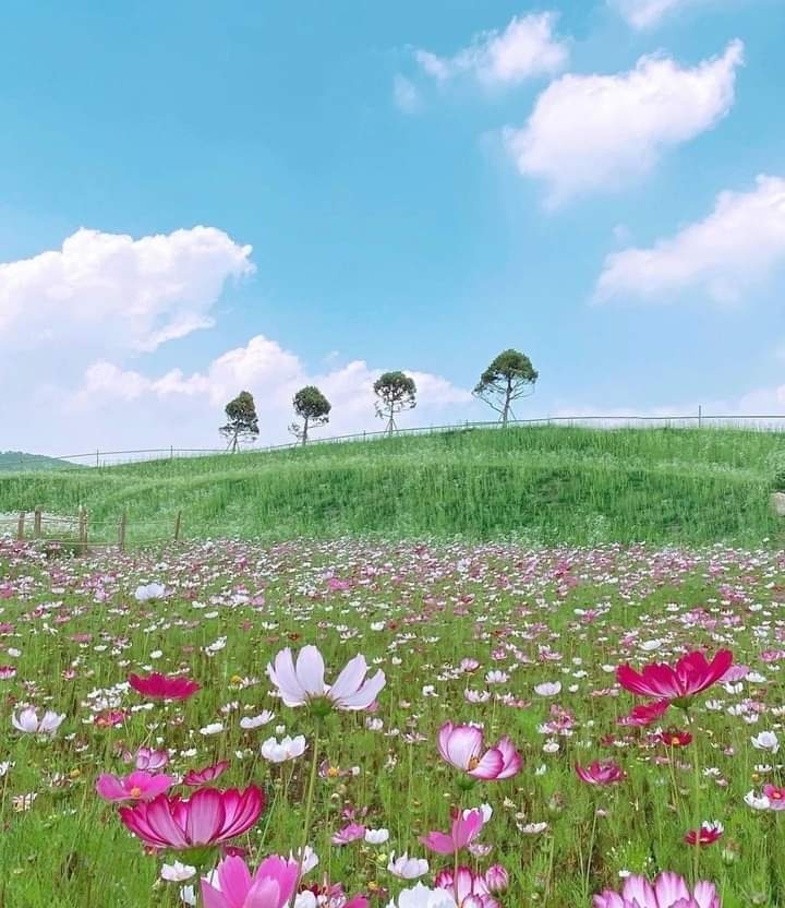  우리 몸의 신비 15가지