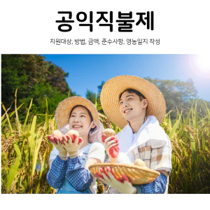 공익직불제