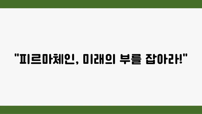 피르마체인(FCT2) 개요와 향후 전망
