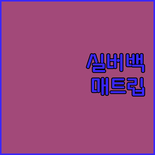 실버 체인 백 매트 립스틱 세트, 특