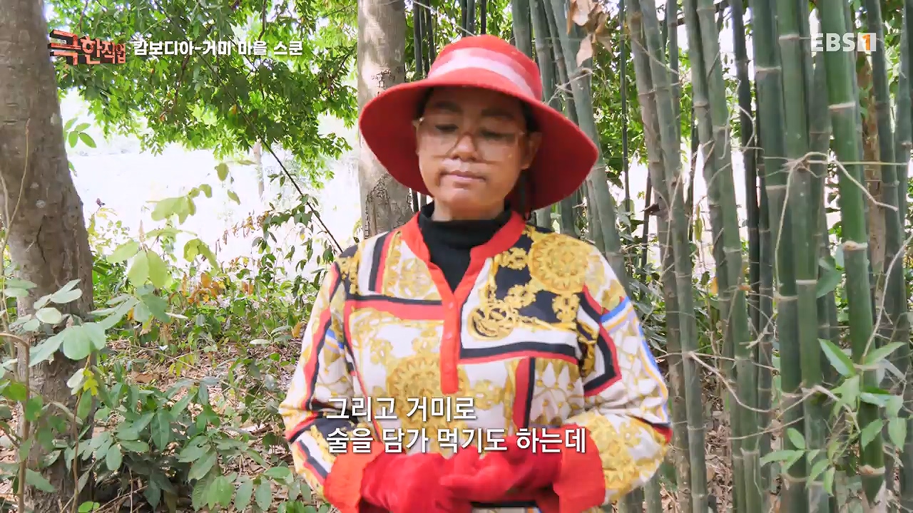 TV - 전 국민의 평생학교 EBS캄보디아 - 독충을 잡는 사람들.mp4_20230501_173349.342.jpg