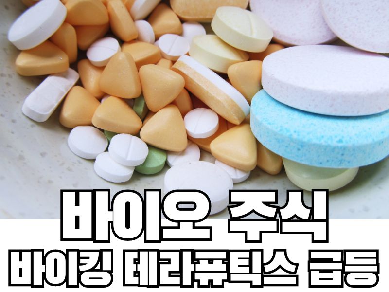 바이오 주식 뉴스: 바이킹 테라퓨틱스(Viking Therapeutics) 비만치료제 임상결과 발표 후 주가 급등