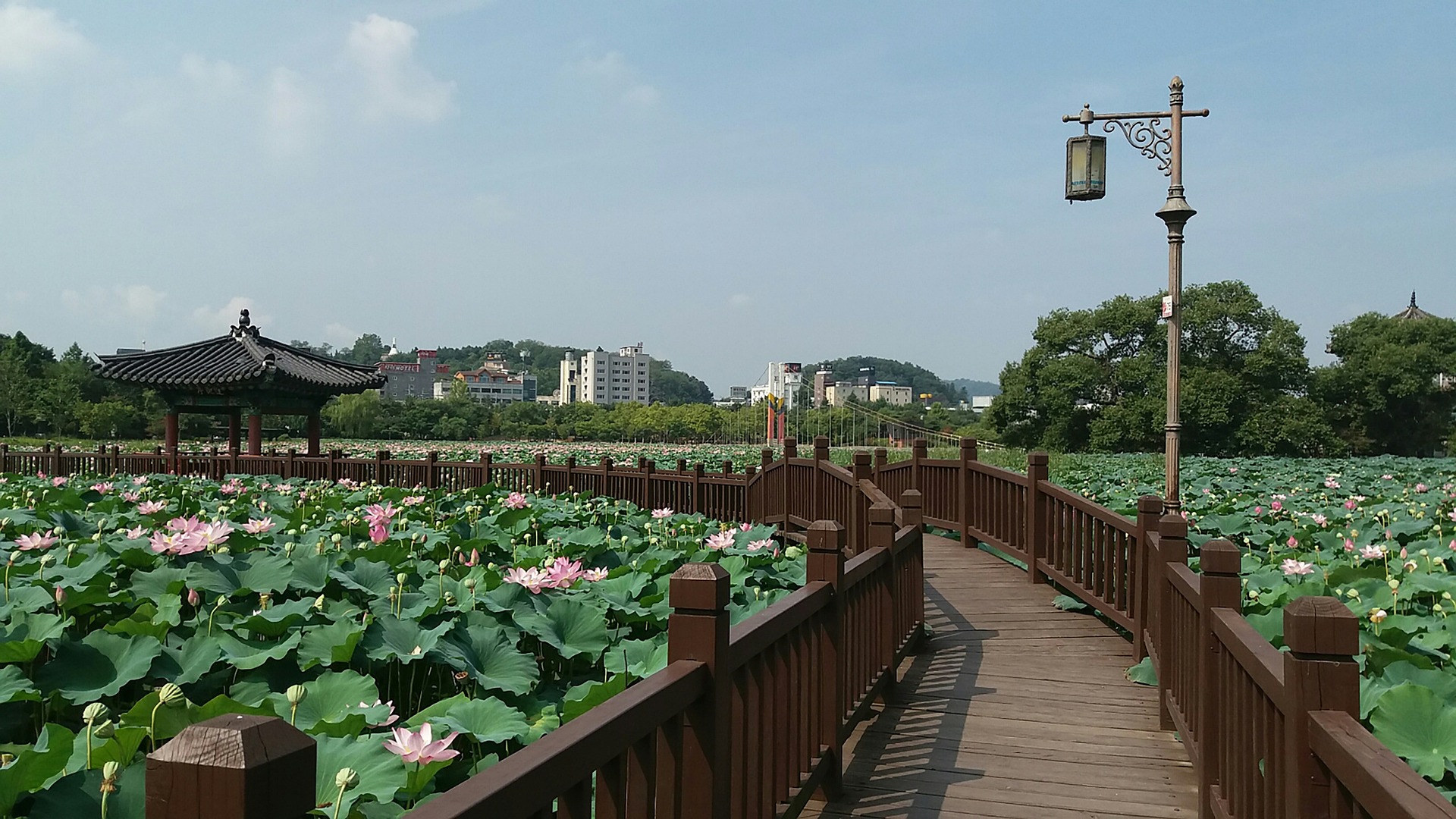 덕진공원