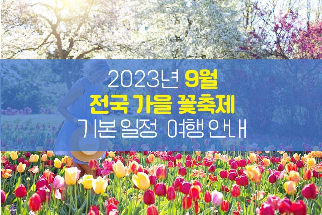 2023년-9월-전국-가을-꽃축제-기본-일정-여행-안내