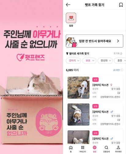 반려동물-플랫폼-펫프렌즈