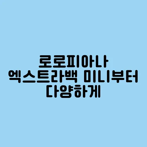 로로피아나 엑스트라백 미니부터 다양하게