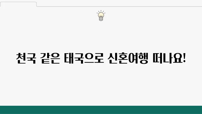 타움 지출 티스 스위패 타움