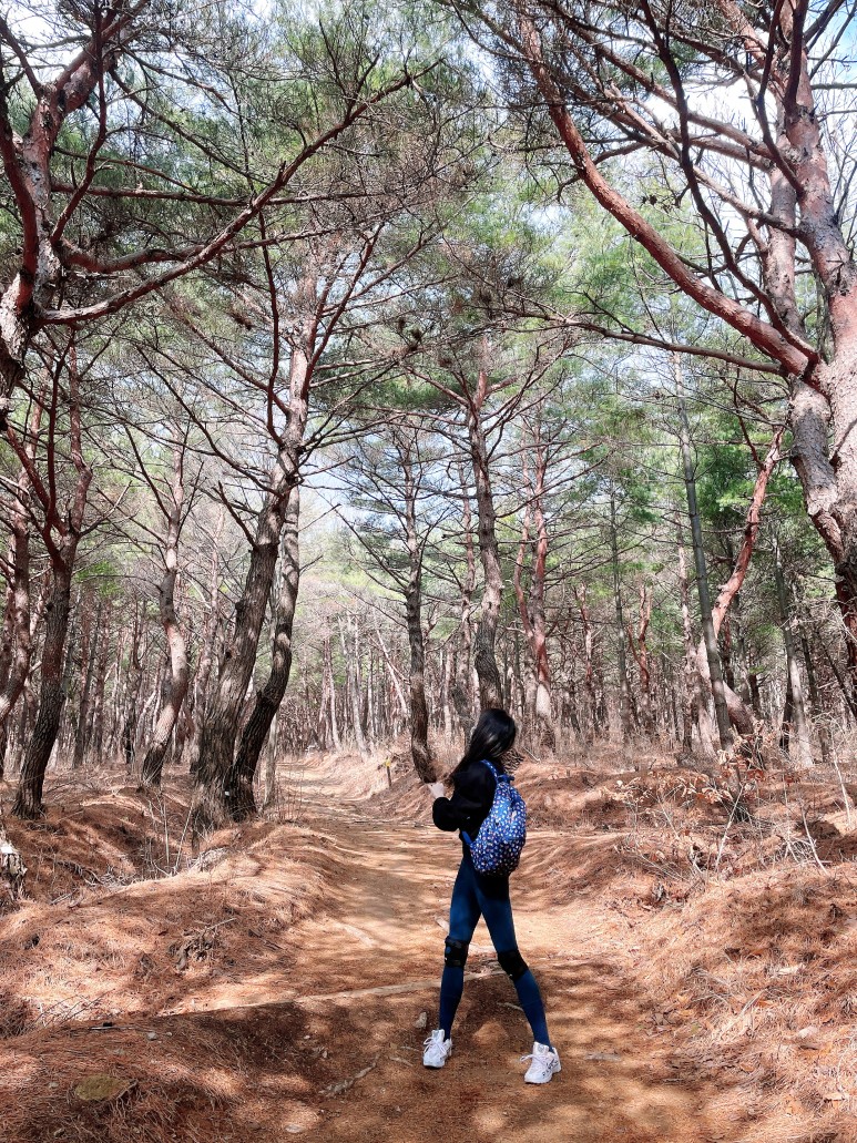 빼는 운동 추천! 다이어트식품 여자 뱃살 1