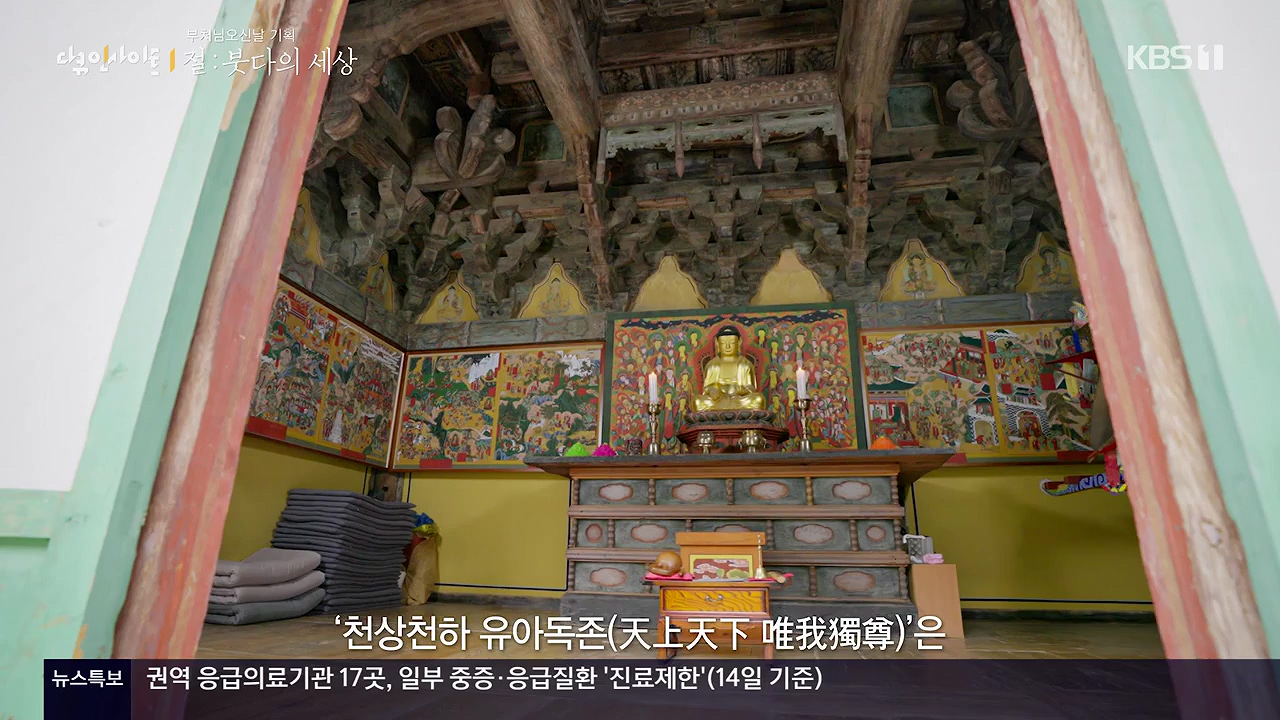 다큐 인사이트.E185.240517p-NEXT.mp4_20240517_201712.863.jpg