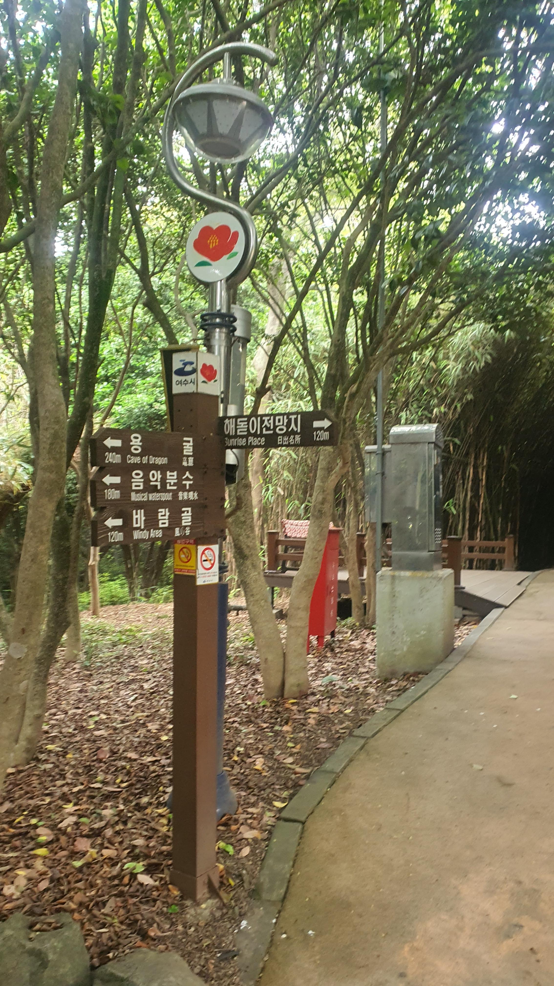 동백섬으로 유명한 여수 오동도