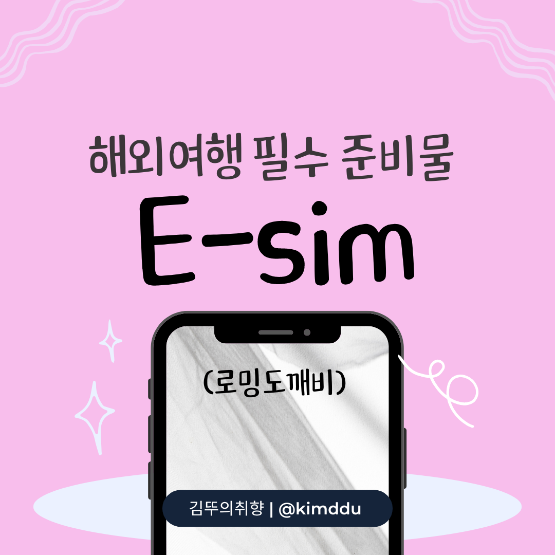  해외여행 필수 준비물 :: 더블 유심 이용 팁 - 로밍도깨비 eSIM 태국에서 이용하기