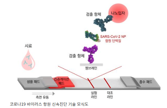  코로나19 신속진단기술 개발 완료! 코로나 15분만에 눈으로 판별 한다!