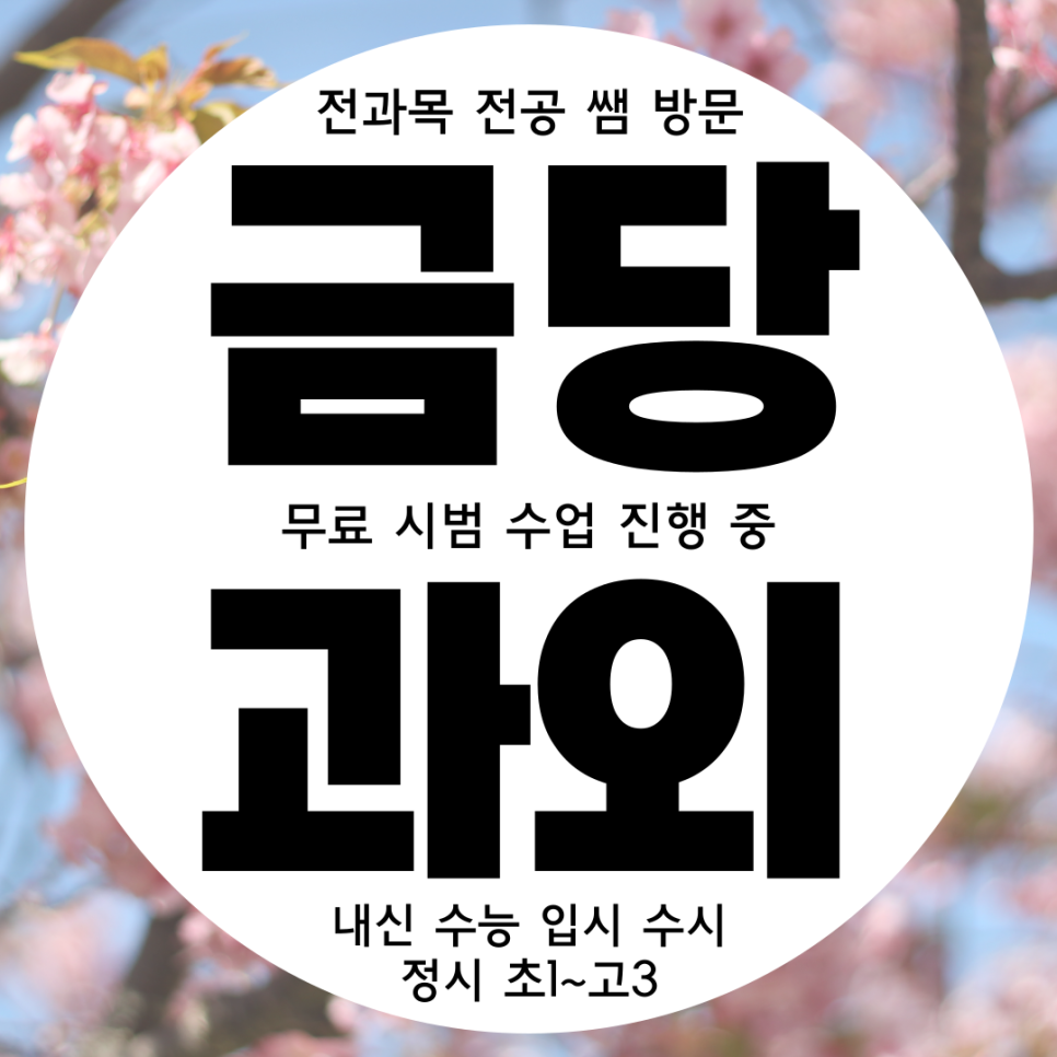  순천 금당 초등학생 수학과외 해룡면 초등부 영어과외 초등 국어 일대일맞춤