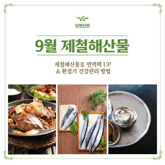 9월 제철해산물 가을철 환절기 건강관리