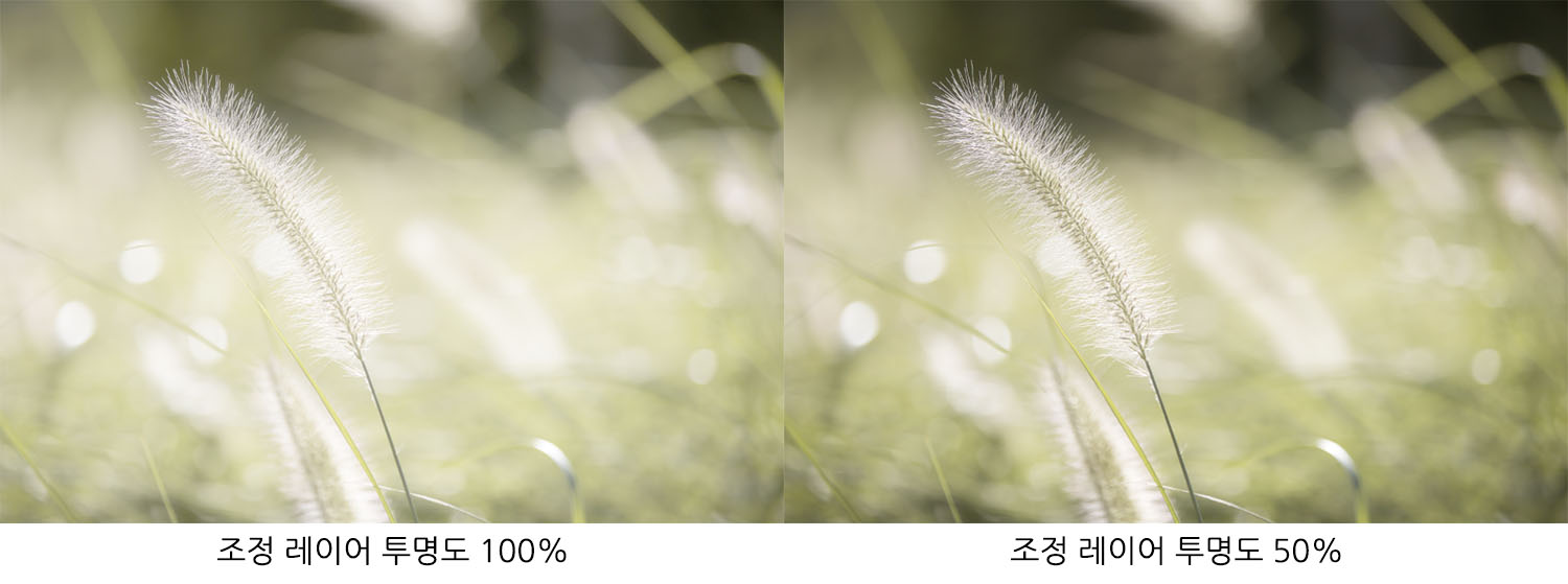 조정 레이어 효과의 세기를 조절한 예