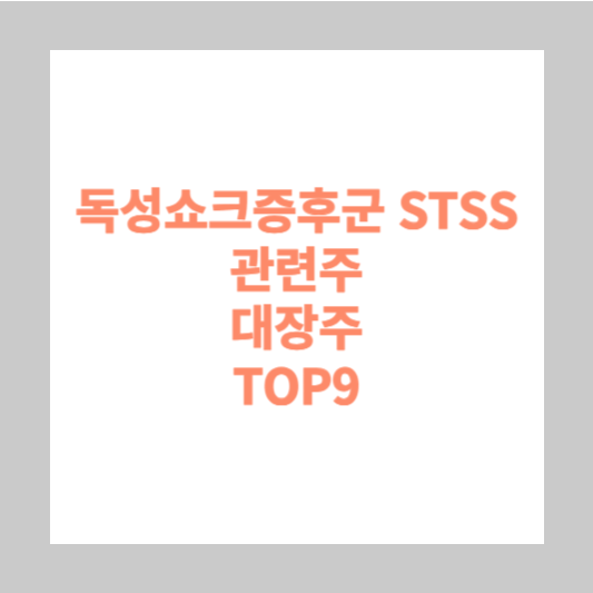 독성쇼크증후군 STSS 관련주 대장주