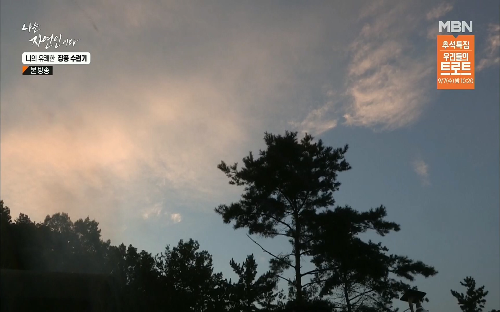 나는 자연인이다.E517.220831p.H264-F1RST.mp4_20220901_201006.865.jpg