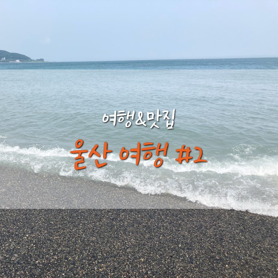  울산 여행] 머큐어 앰배서더 울산(Mercure Ambassador)