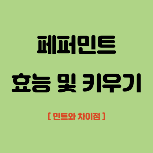 페퍼민트 효능 및 키우기&#44; 민트와 차이점