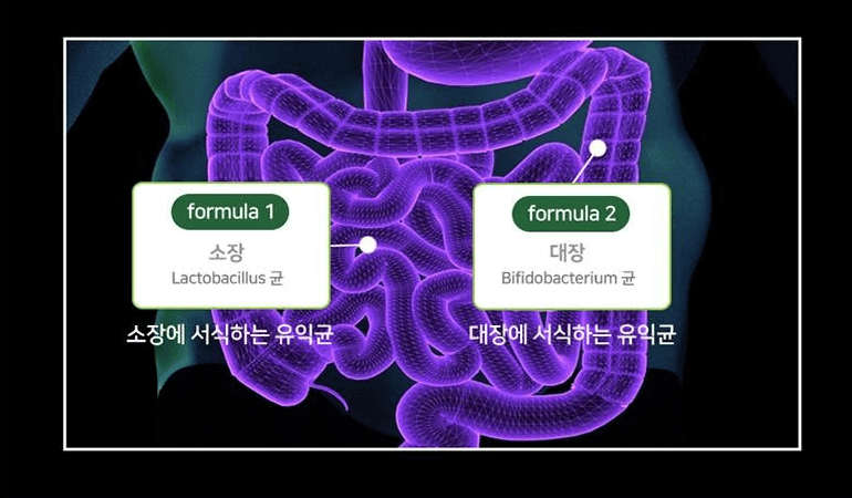 유산균 고르는 법