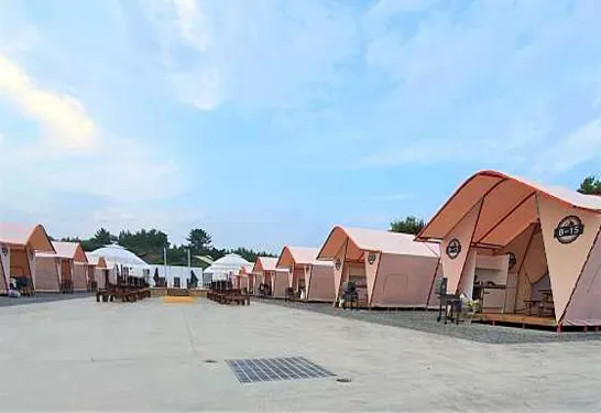 영천 아우노 펠리스 글램핑