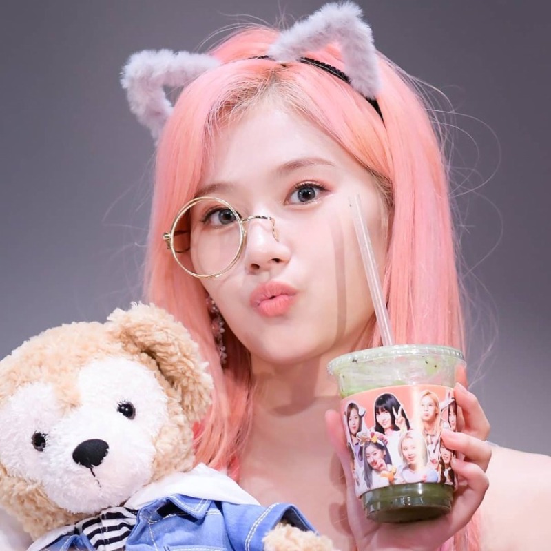  핑크머리 트와이스 사나 팬직찍