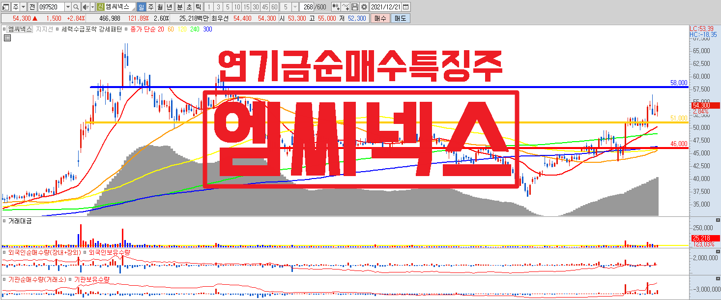  연기금 순매수 특징주  | 엠씨넥스 | 한화투자증권 | 삼성전자 | 포스코인터네셔널 | 효성화학