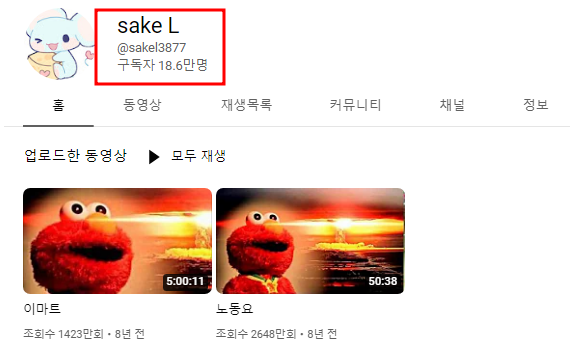  '사람을 찾습니다' 이마트 CM송 널리 알린 유튜버 sake L