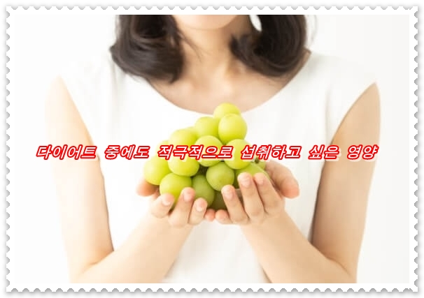  다이어트 중에도 적극적으로 섭취하고 싶은 영양이란