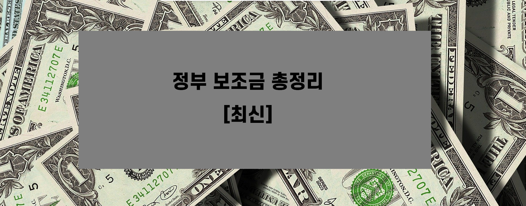  정부 지원금 총정리 (정부24, 토스)