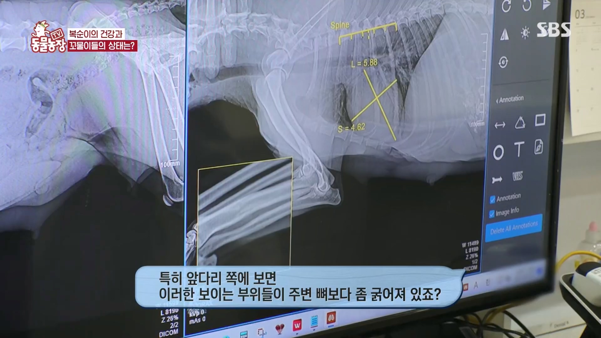 TV 동물농장.E1118.230423p.H264-F1RST.mp4_20230423_181115.261.jpg