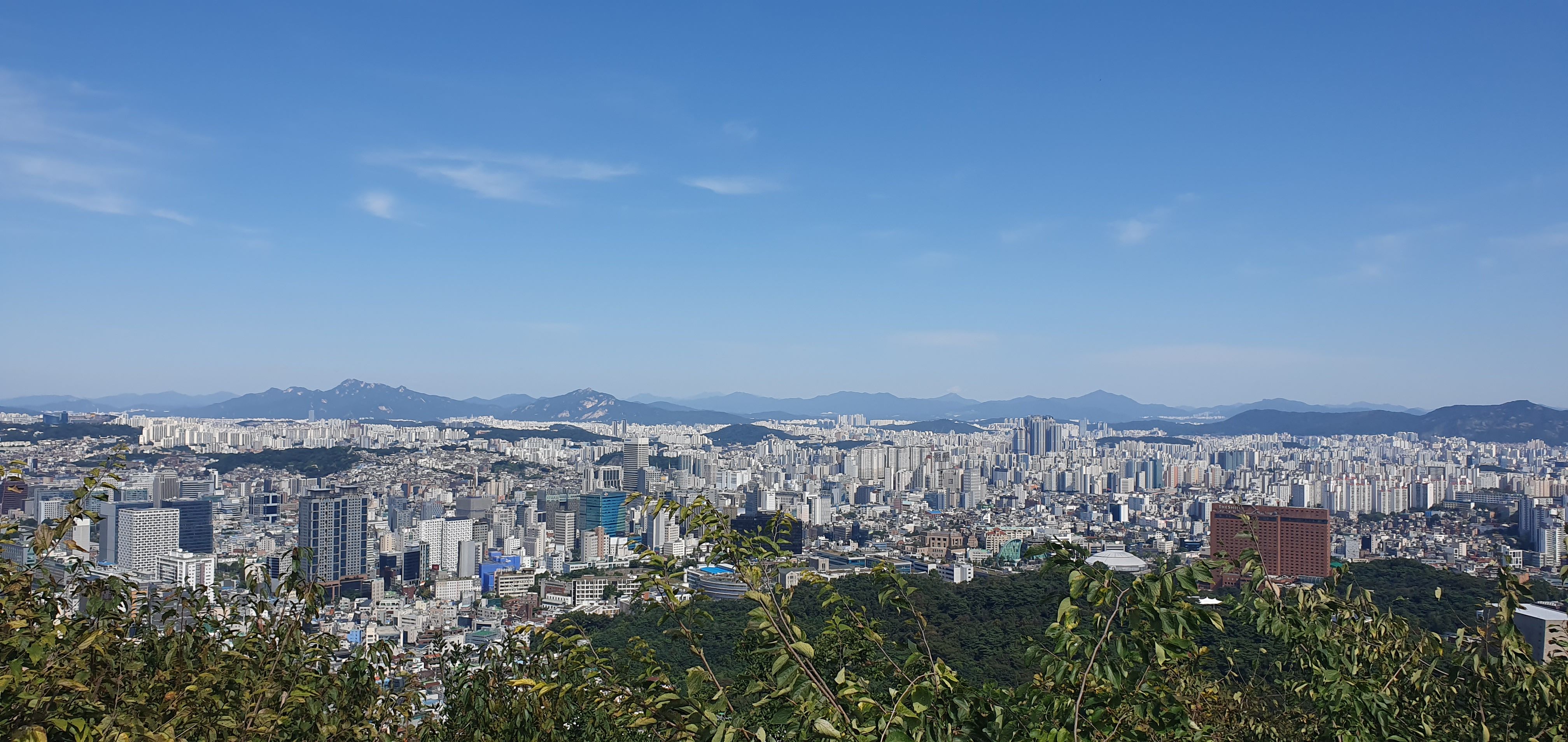 꼬마빌딩 관리 방법 관련 이미지