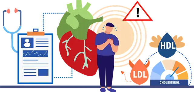 콜레스테롤 종류 저밀도 지질 단백질(LDL)과 HDL