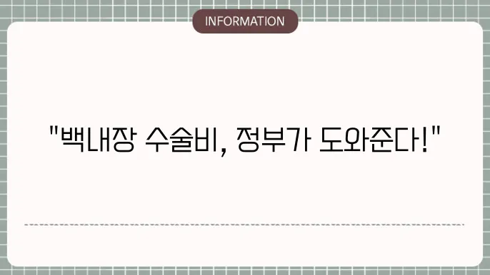 백내장 수술비용 지원: 