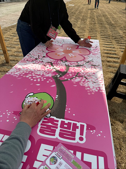 광양 매화축제 개화상황 실시간 사진 입장료