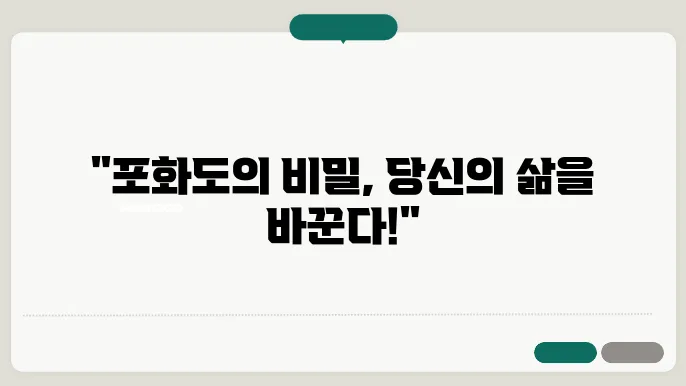 포화도
