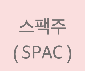  스팩주 ( SPAC ) 란 무엇일까?
