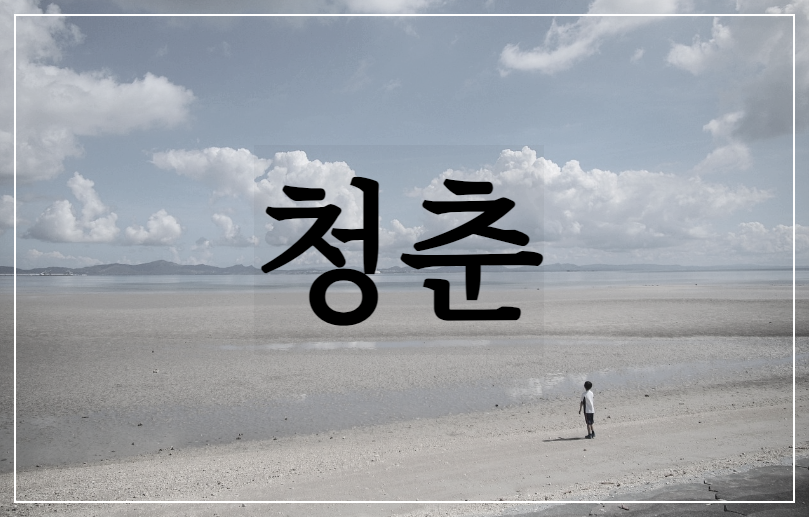  [시 감상]심보선 - 청춘