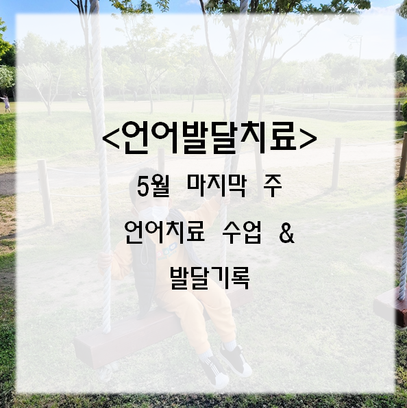  언어발달치료, 34개월) 5월 마지막주 언어치료수업 & 발달 기록