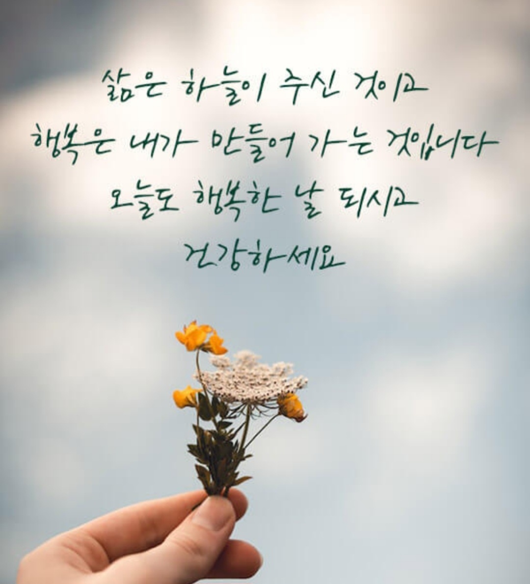  오늘의 좋은글 325번째 살아가면서 베푸는것은 결코 손해를 보지 않습니다