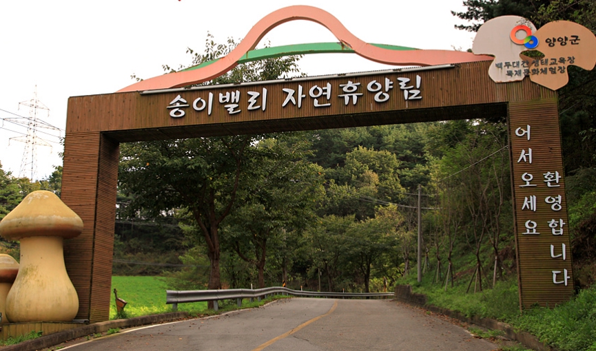 송이밸리자연휴양림3