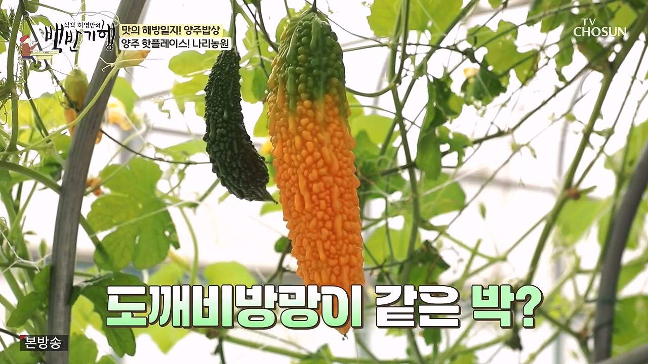 식객 허영만의 백반기행.E214.230902p-NEXT.mp4_20230903_165347.085.jpg