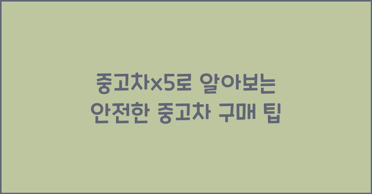 중고차x5